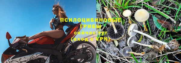 соль ск Армянск