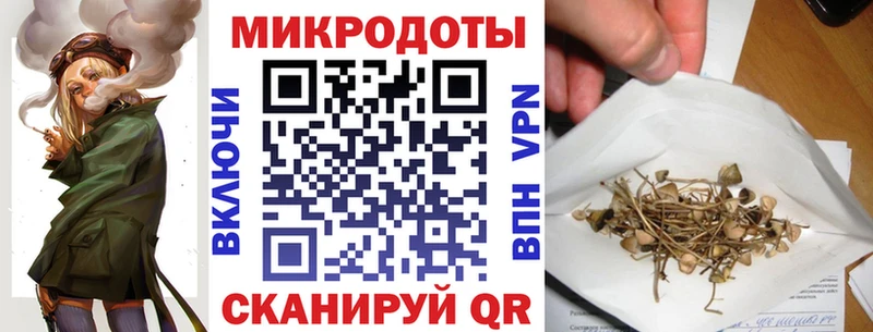 дарнет шоп  Заречный  Галлюциногенные грибы Cubensis 